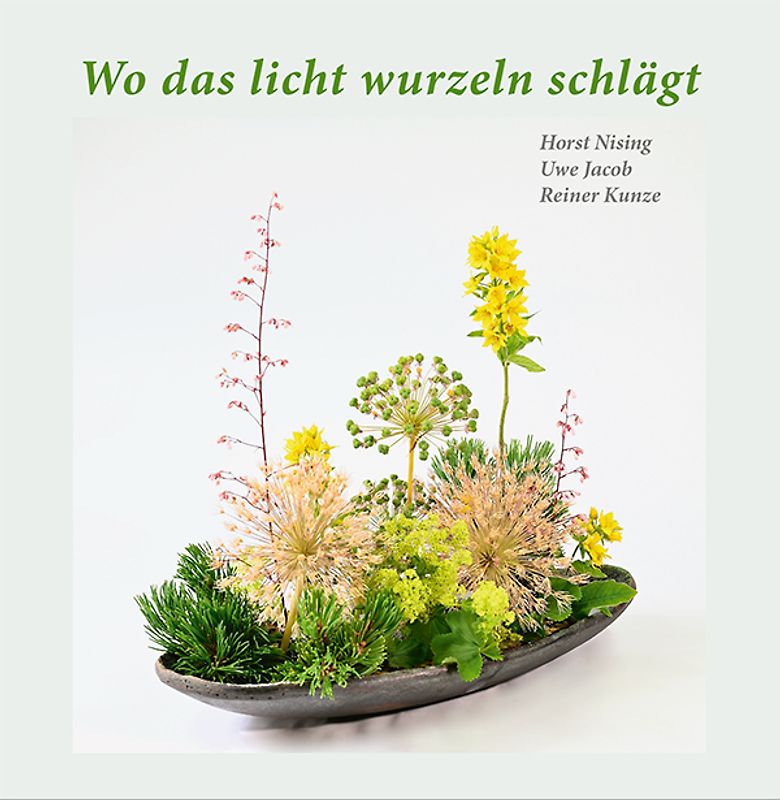 Wo das licht wurzeln schlägt