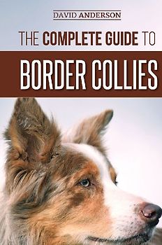 The Complete Guide to Border Collies