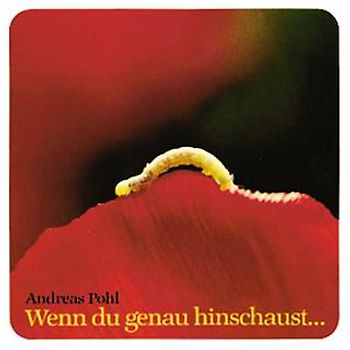 Wenn du genau hinschaust