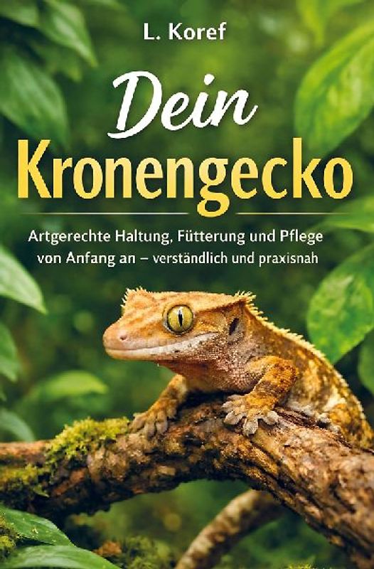 Dein Kronengecko