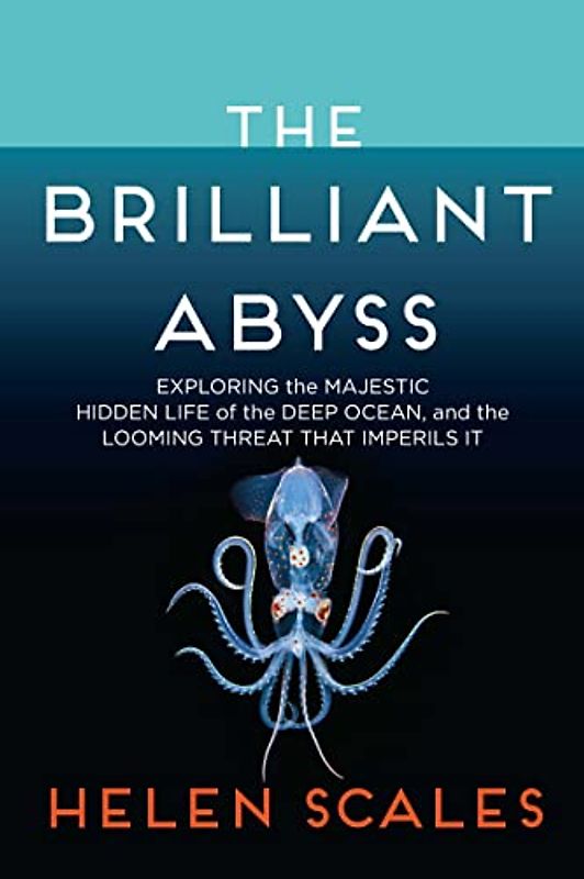 The Brilliant Abyss