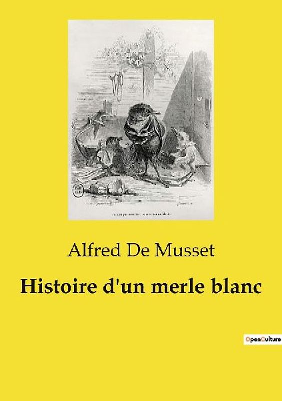 Histoire d'un merle blanc