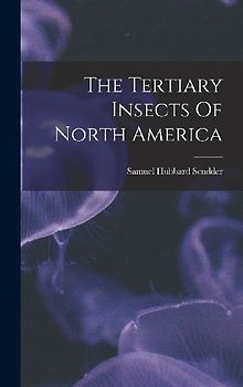 The Tertiary Insects Of North America