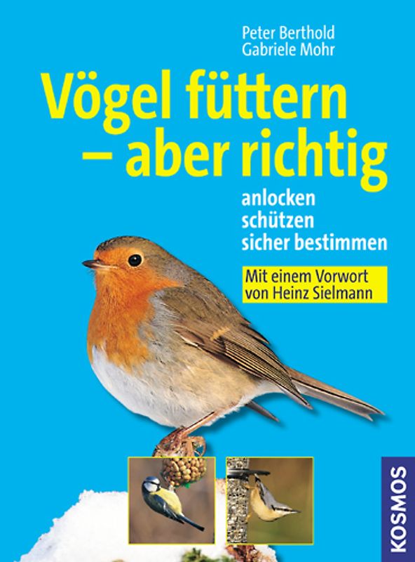 Vögel füttern - aber richtig