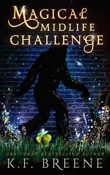 Magical Midlife Challenge (Leveling Up, Band 6)