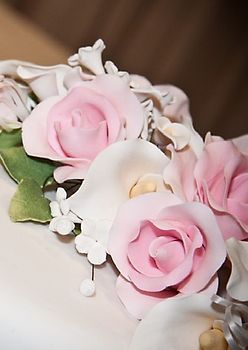 Hochzeitsbuch / Gästebuch