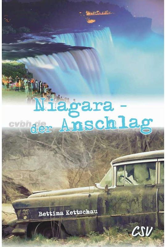 Niagara - der Anschlag