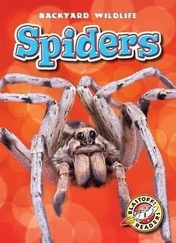 Spiders