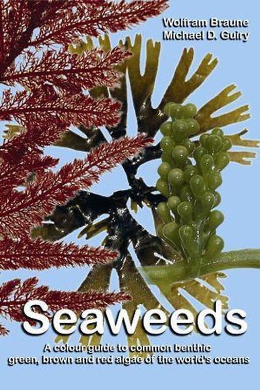 Seaweeds.