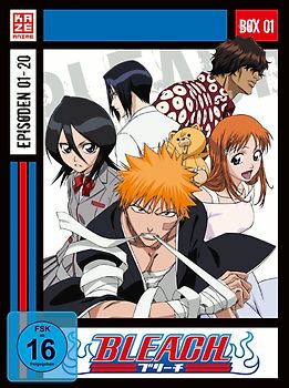Bleach - Gesamtausgabe [3 DVDs] DVD