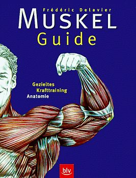 Muskel-Guide. Gezieltes Krafttraining. Anatomie