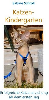 Katzen-Kindergarten