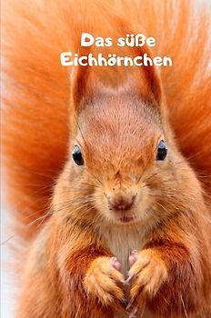 Das süße Eichhörnchen Monatsplaner