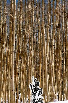 Rudnikow &amp; Kautsky