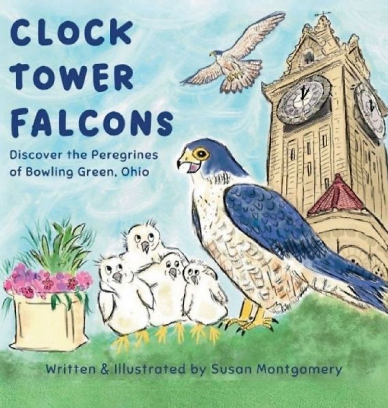 Clock Tower Falcons