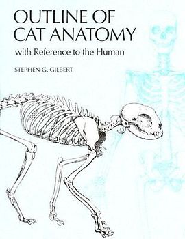 Outline of Cat Anatomy with Reference to the Human