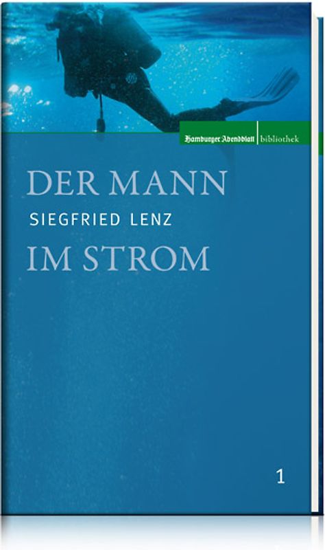 Der Mann im Strom
