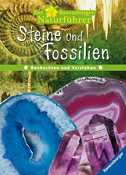 Steine und Fossilien