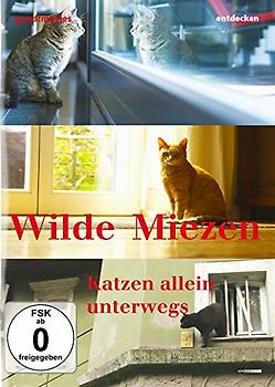 Wilde Miezen - Katzen allein unterwegs DVD