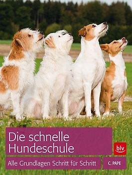 Die schnelle Hundeschule