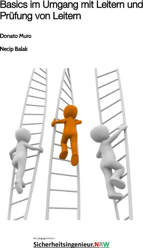 Basics im Umgang mit Leitern und Prüfung von Leitern