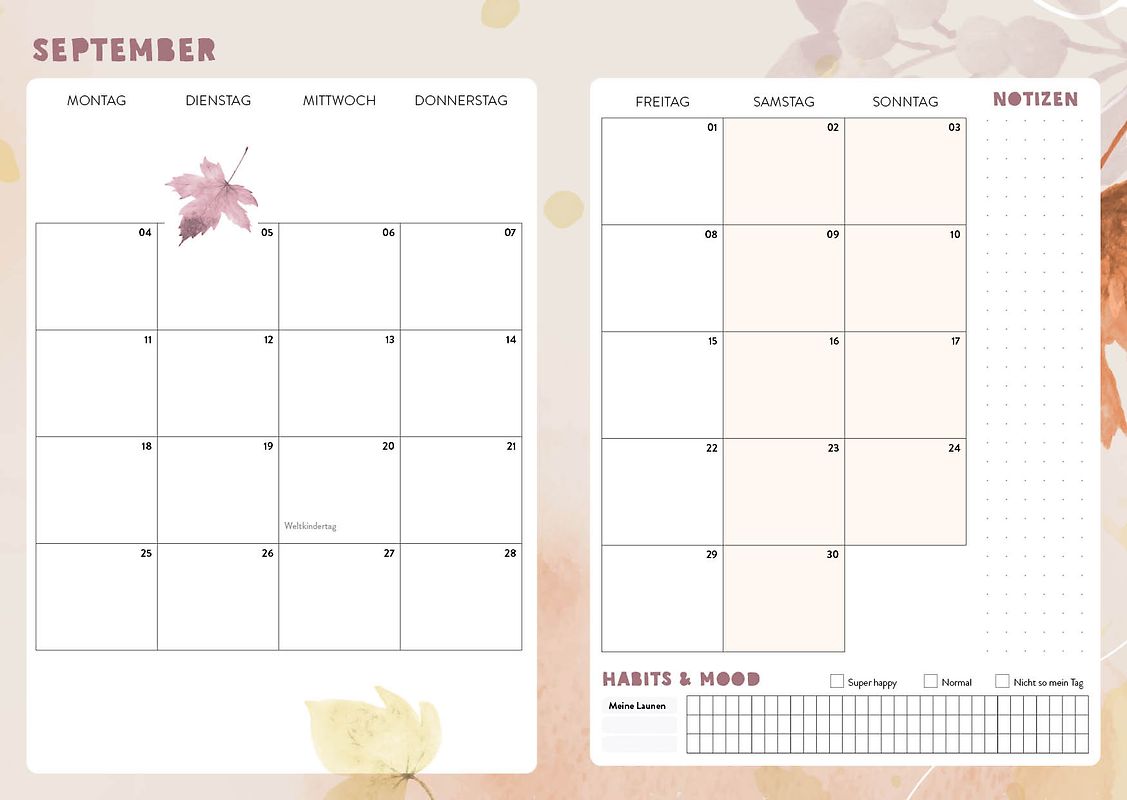 Cali Kessy – Timer 2024/2025