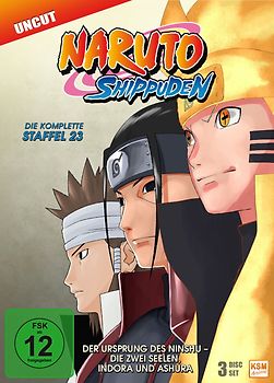 Naruto Shippuden - Die komplette Staffel 23 [3 DVDs] DVD