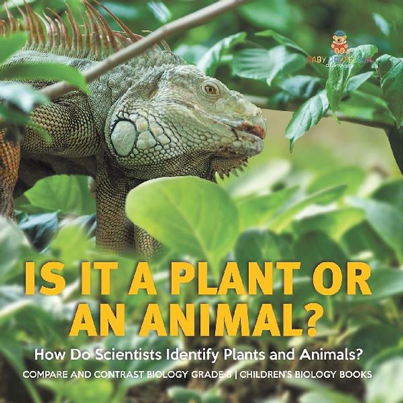 Is It a Plant or an Animal? How Do Scientists Identify Plants and Animals? Compare and Contrast Biology Grade 3 Children's Biology Books