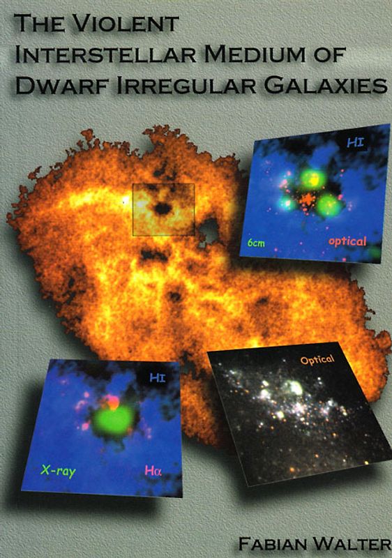The Violent Interstellar Medium of Dwarf Irregular Galaxies