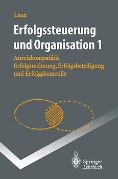 Erfolgssteuerung und Organisation