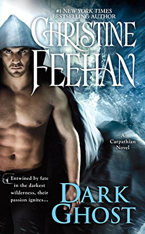 Dark Ghost (A Carpathian Novel, Band 28)