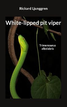 White-lipped pit viper