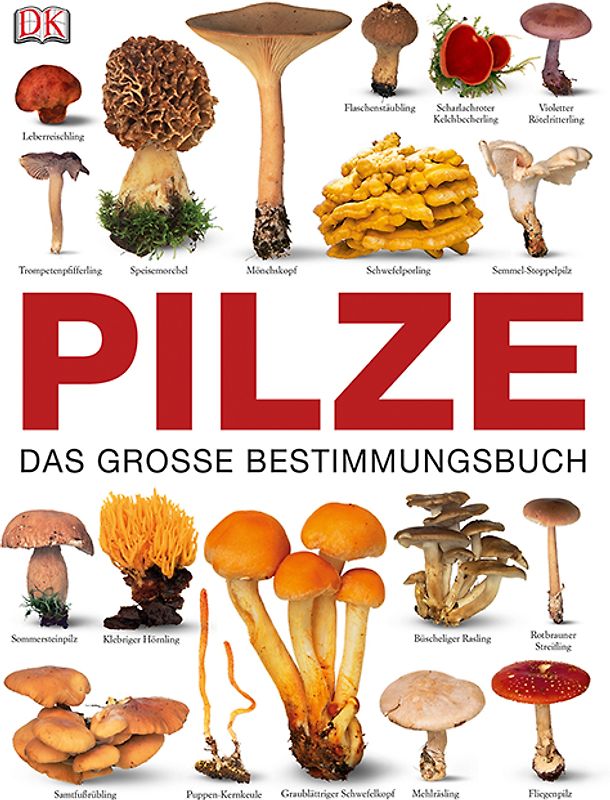 Pilze