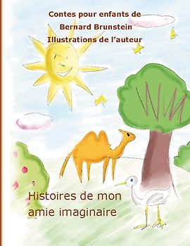 histoire de mon amie imaginaire