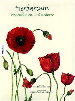 Herbarium. Wiesenblumen und Kräuter