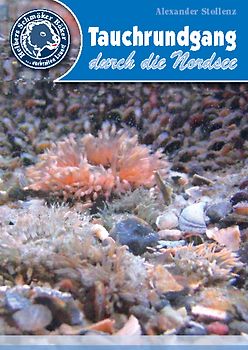 Tauchrundgang durch die Nordsee