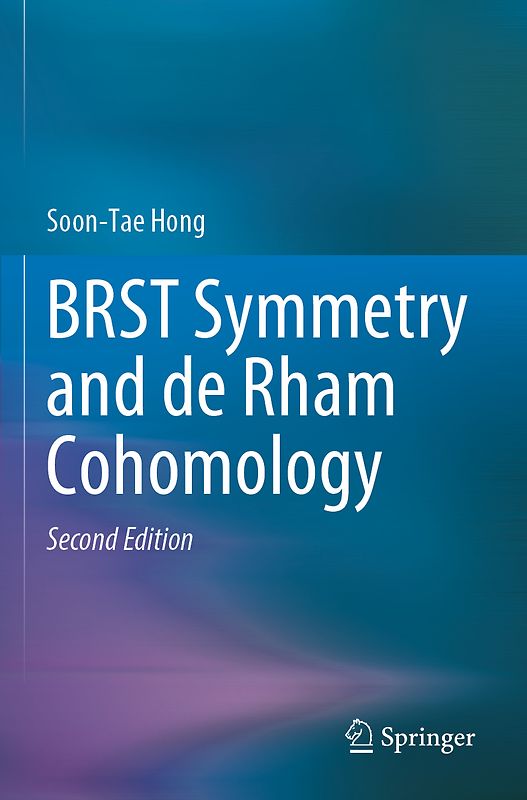 BRST Symmetry and de Rham Cohomology
