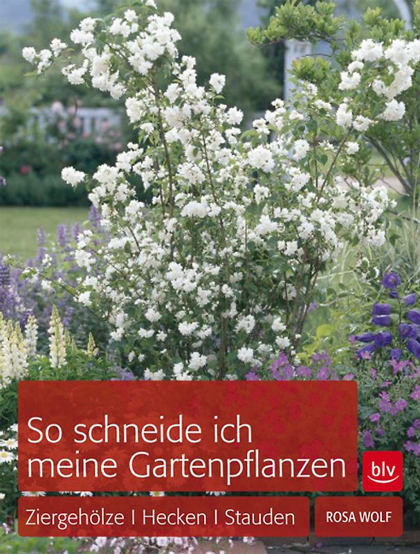 So schneide ich meine Gartenpflanzen