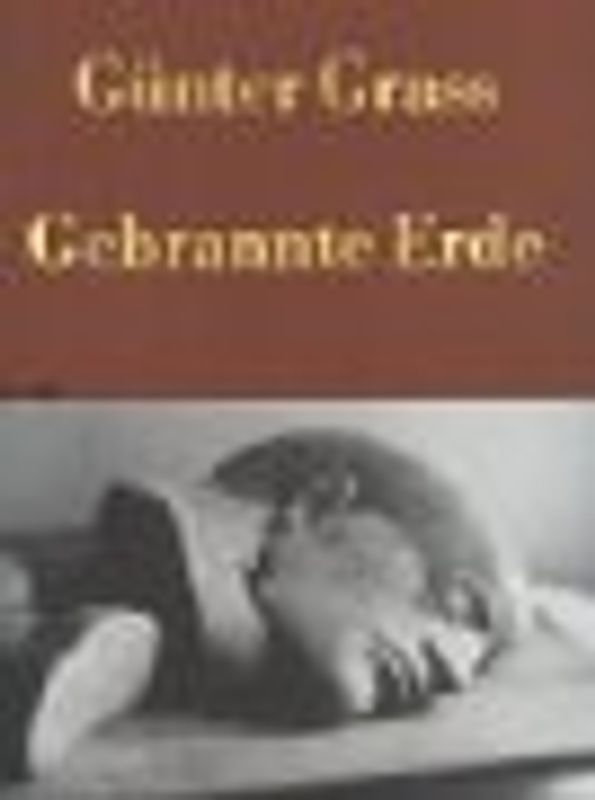 Gebrannte Erde. Skulpturen