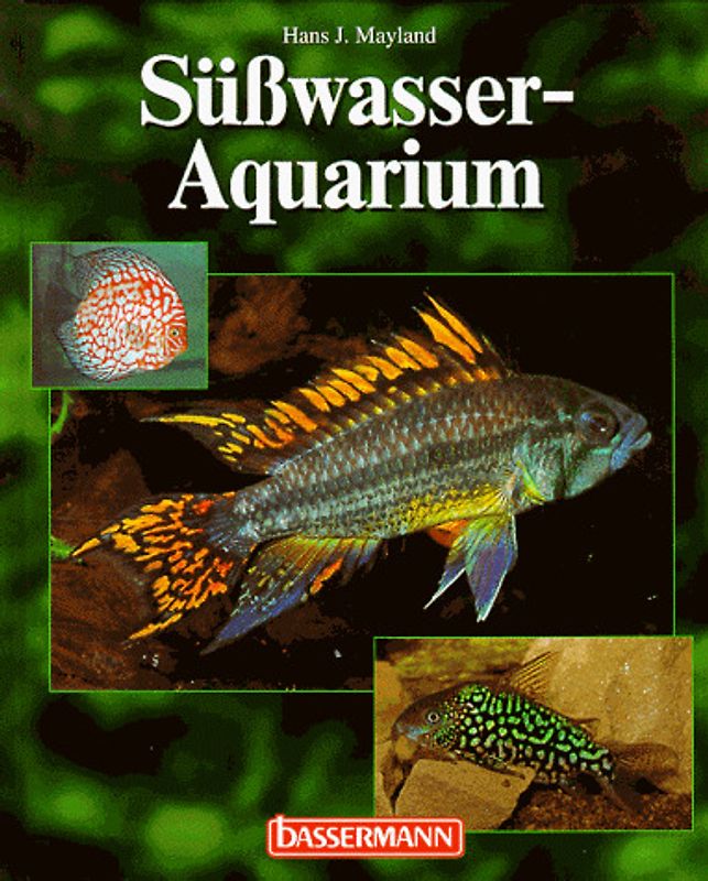 Süsswasser-Aquarium