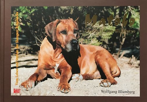 Matobo – Urgestein aus Bulawayo