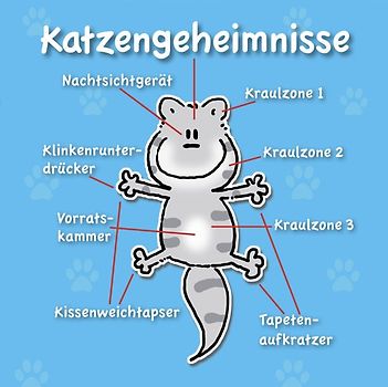 Katzengeheimnisse