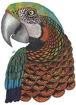 Tangleeasy Lined Journal Parrot