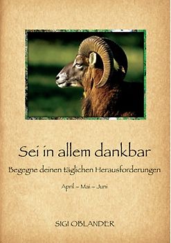 Sei in allem dankbar - Begegne deinen täglichen Herausforderungen