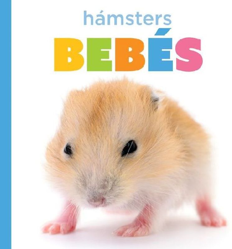 Hámsters Bebés