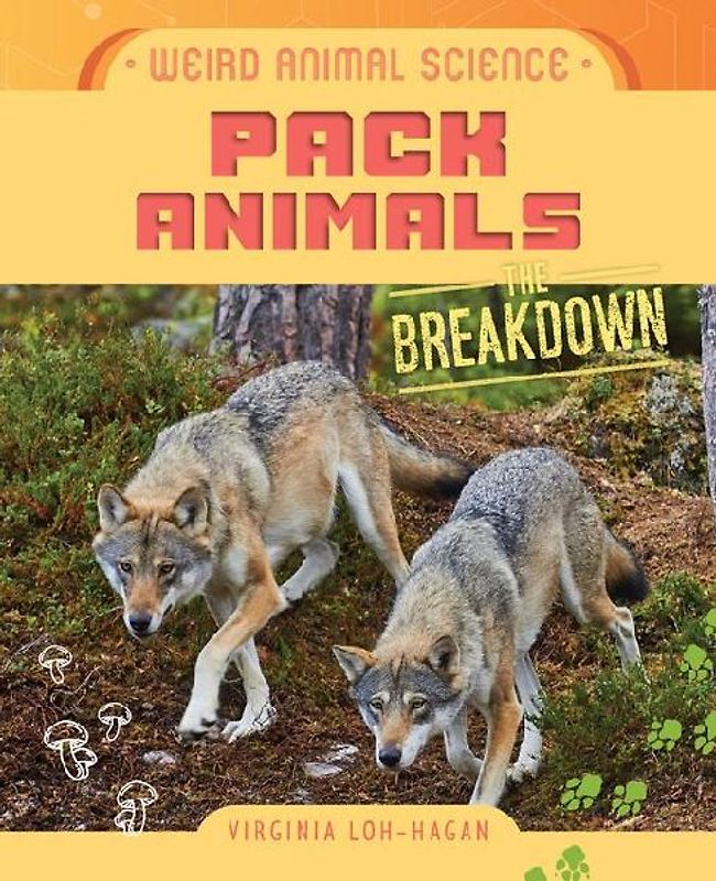 Pack Animals