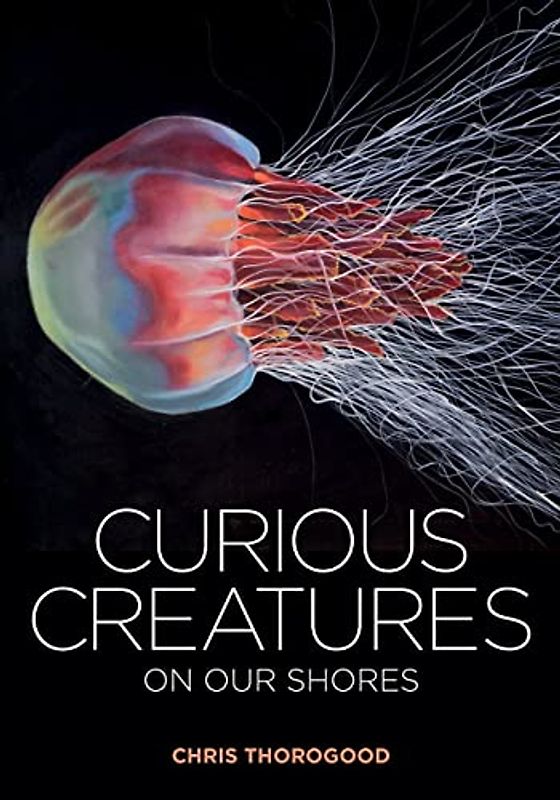 Curious Creatures on Our Shores