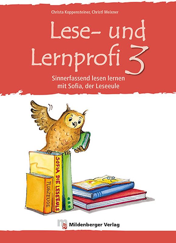 Lese- und Lernprofi 3 – Arbeitsheft