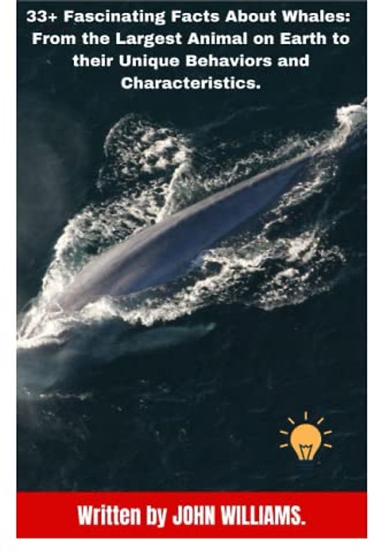 33+ Fascinating Facts About Whales: From the Largest Animal on Earth to their Unique Behaviors and Characteristics.
