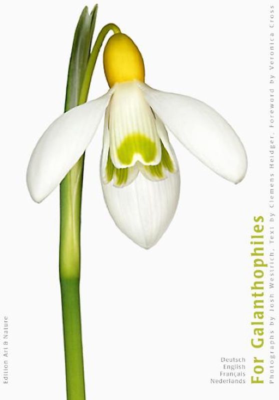 For Galanthophiles